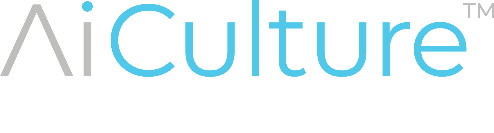 Culture AI